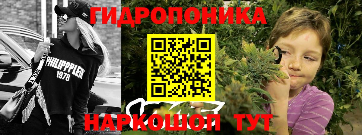 Баксан  Бошки Шишки OG Kush  Канабис гибрид  Вход с VPN  Каннабис MAZAR 